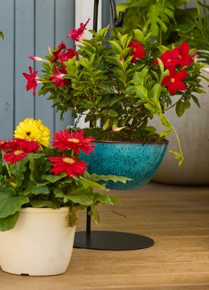Garden & outdoors