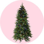 Christmas trees