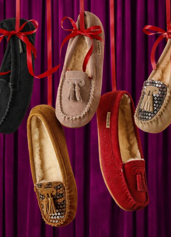 bearpaw