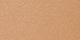 42N Tan Neutral