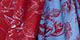 Beet with Blue