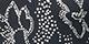Black Graphic