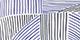 Blue Combo Print