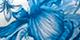 Blue Toile