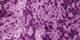 Distressed Floral