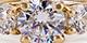 Goldtone/Round