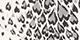 Heart Leopard