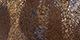 Leopard/Dark Brown