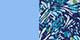 Marine Blue Butterfly/Ultramarine