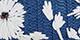 Navy/White
