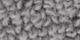 Rich Gray