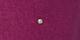 Rich Plum