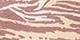 Sand Wild Zebra
