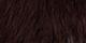 Swiss Brown