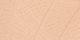 Taupe Lizard