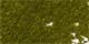 True Khaki