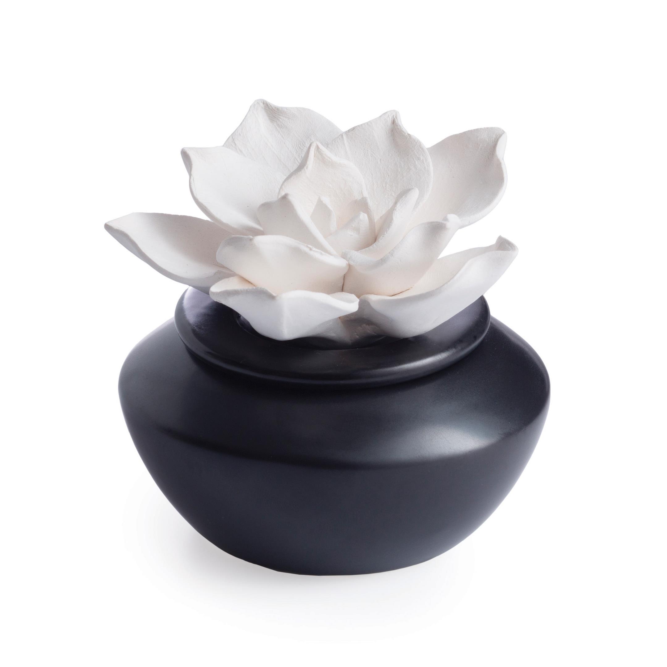 Airome Gardenia Porcelain Essential Oil Diffuser 20670276 HSN