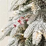 image 4 of 12
