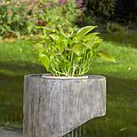 image 2 of 5