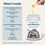 Joint Benefits for Dogs - 240 servings