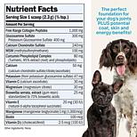 Joint Benefits for Dogs - 60 servings