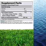 Marine and Free Range Collagen Peptides with MSM - 120 Servings