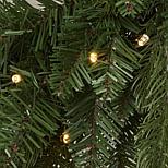 image 11 of 13