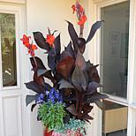 image 7 of 8
