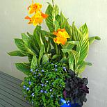 image 2 of 8