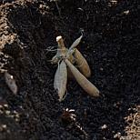 image 7 of 8