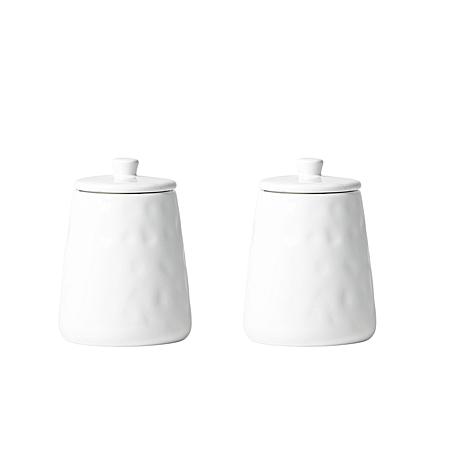 10 Strawberry Street Artisan Angular Canister, Set of 2, Small | HSN