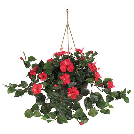 Hibiscus Hanging Basket - 9195799 | HSN