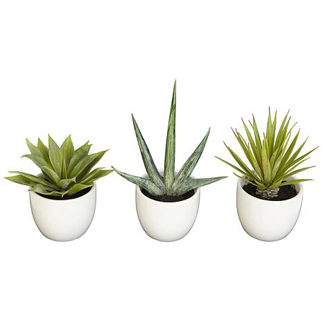 Set of 3 faux succulent plants in planter. How to decorate or style your entry way.