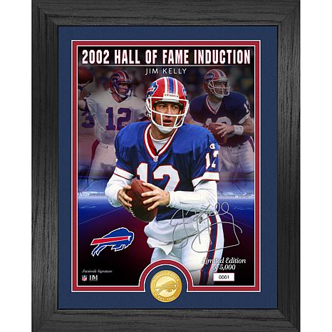 Officially Licensed Brett Favre Hall of Fame Induction Photo Mint