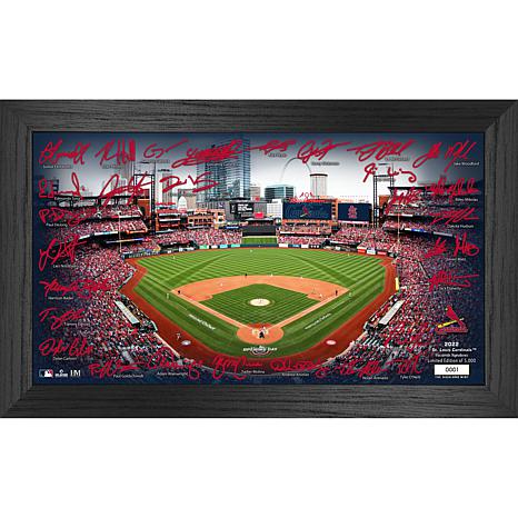 MLB St. Louis Cardinals Baseball Logo Glass Framed Panel