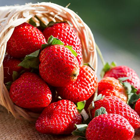 Van Zyverden Everbearing Strawberries Fort Laramie Set of 20