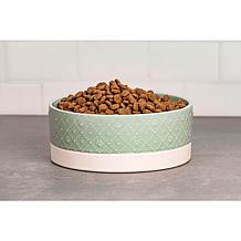 10 Strawberry Street Clermont Paw Pet Dish - Set of 2 Small Sage