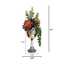 11-in Succulent Garden in Skull Chalice by Nearly Natural