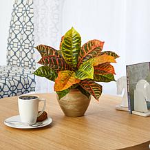 15 in. Garden Croton Artificial Plant in Ceramic Planter Real Touch