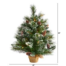 2 ft. Frosted Pine Artificial Christmas Tree with 35 Clear LED Ligh...