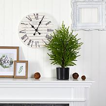 2 ft. Norfolk Island Pine Natural Look Artificial Tree in Decorativ...