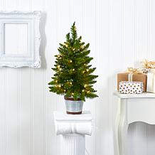 2 ft. Providence Pine Artificial Christmas Tree in Decorative Plant...