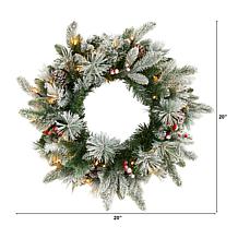 20 in. Flocked Mixed Pine Artificial Christmas Wreath with 50 LED L...