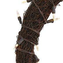 20 in. Vine Wreath with 50 White Warm LED Lights
