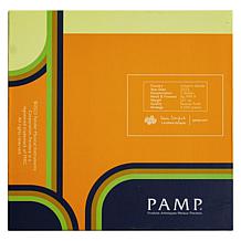 2023 Fender Dynamic Duo Precision Bass & Bassman Amplifier 2-Coin Set