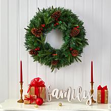 24 in. Mixed Pine Artificial Christmas Wreath with 35 Clear LED Lig...