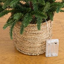 3-ft  Christmas Tree with 60 LED Lights by Nearly Natural