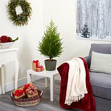 3 ft. Norfolk Island Pine Natural Look Artificial Tree in Decorativ...