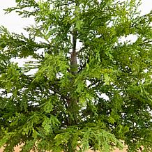 3-ft Real Touch Cedar Tree in Gray Planter by Nearly Natural