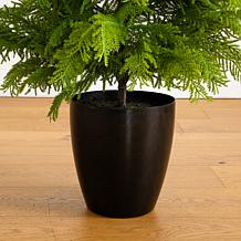 4-ft Real Touch Goldcrest Christmas Tree by Nearly Natural